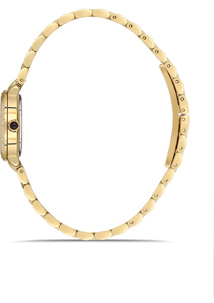 QL198G-15SG Kadın Kol Saati fiyatları