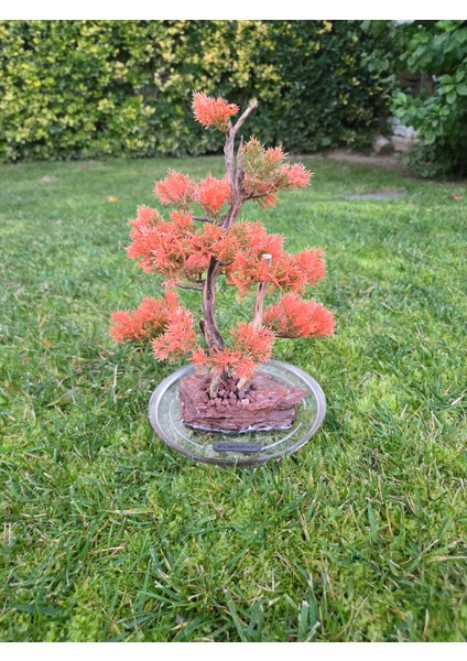 El Yapımı Epoksi Tabanlı Bonsai Ağaç Dekoru – 3 Renk Seçeneği (Yeşil, Kırmızı, Turuncu) fırsatları