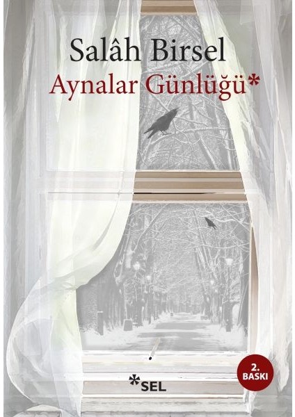 Aynalar Günlüğü