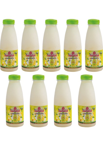 Doğal Limonata 9 Adet 330 Ml.dondurulmuş Ürün