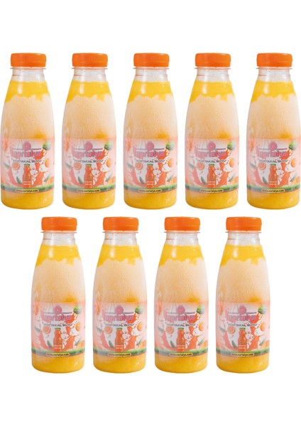 Sıkma Portakal Suyu 9 Adet 330 Ml.dondurulmuş Ürün