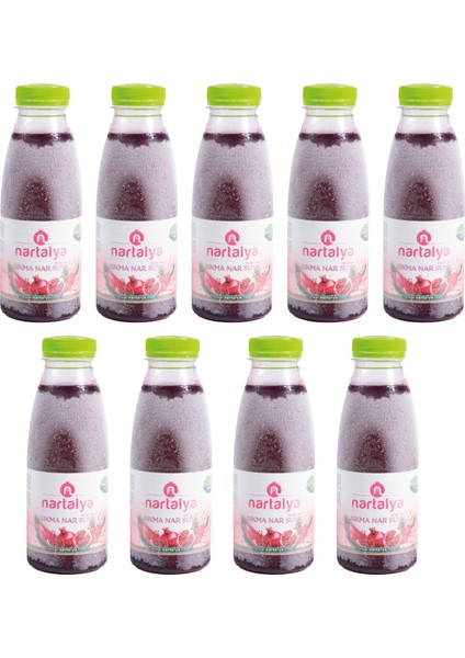 Sıkma Nar Suyu 9 Adet 330 Ml.dondurulmuş Ürün