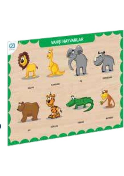 Ahşap Vahşi Hayvanlar Eğitici Set
