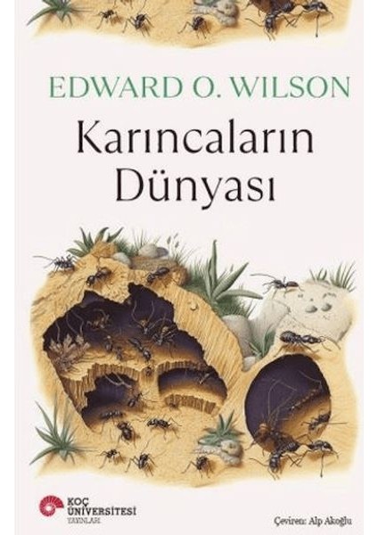 Karıncaların Dünyası