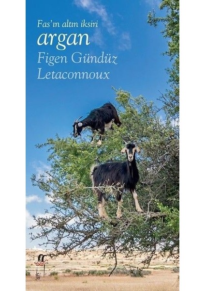 Fas’ın Altın Iksiri Argan