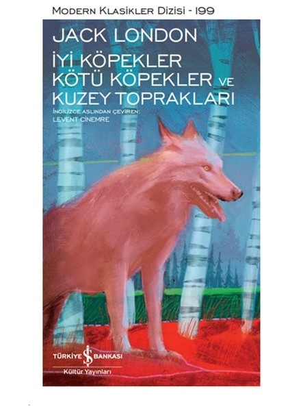 Iyi Köpekler Kötü Köpekler ve Kuzey Toprakları - Modern Klasikler Dizisi (Ciltli)