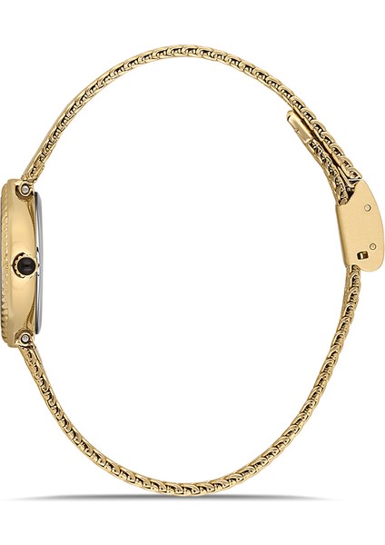 QL193G-02SG Kadın Kol Saati fiyatları