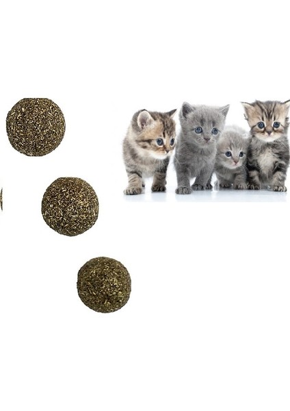 Kedi Nanesi Topu 3 Adet 2.5 cm Nepeta Cataria