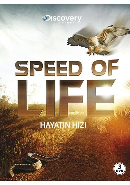 Speed Of Life - Hayatın Hızı