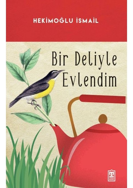 Bir Deliyle Evlendim