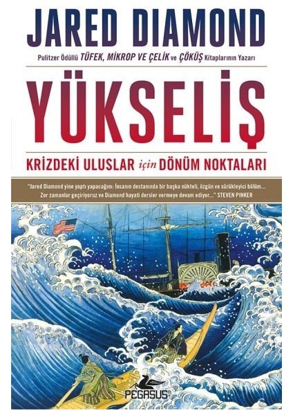 Yükseliş: Krizdeki Uluslar Için Dönüm Noktaları - Ciltsiz