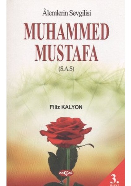 Mevlana ve Mesnevi Gerçeği