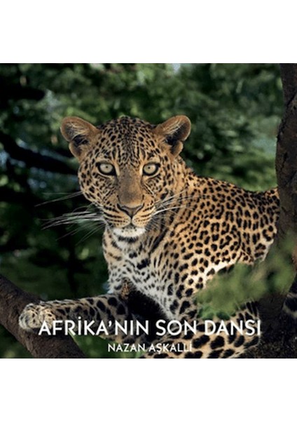 Afrika’nın Son Dansı