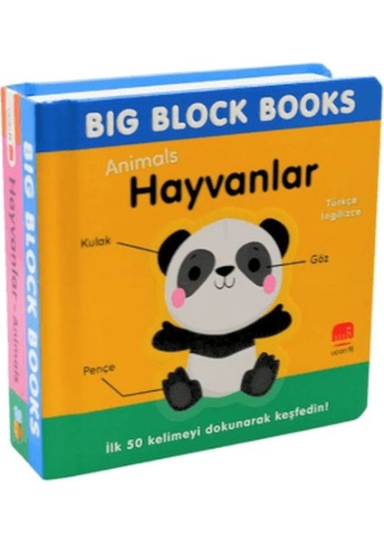 Big Block Books - Hayvanlar (Animal)