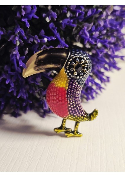 Rengârenk Tukan Kuşu Broş modelleri