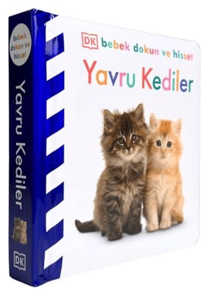 Bebek Dokun ve Hisset - Yavru Kediler