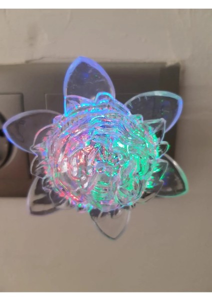 Gül Figürlü Renkli Rgb Fişli Dekoratif Gece Lambası Çocuk Odası Aydınlatma