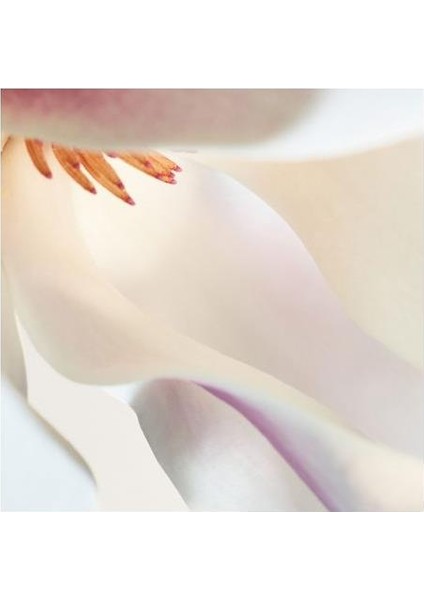 Parco Palladiano I Magnolia Edp 100 ml Unisex Parfüm modelleri