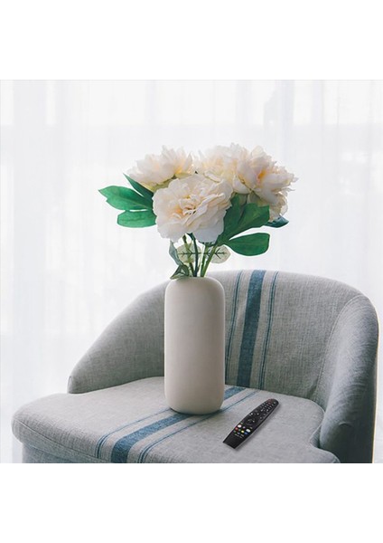 5x Uzaktan Kumanda Aeu Magic AN-MR18BA/19BA AKB753 75501MR-600 Lg Akıllı Tv Için Değiştirme (Kızılötesi) (Yurt Dışından) modelleri