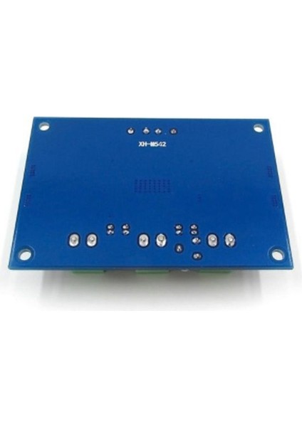 10X XH-M542 Dc 12-26V 100W TPA3116DA Mono Kanal Dijital Güç Ses Amplifikatörü TPA3116D2 Kart (Yurt Dışından) modelleri