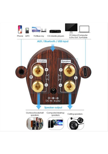Ab Fişi Mini Bluetooth 5 0 Güç Amplifikatör Sınıf D Dijital Stereo Hoparlör Amp Ev Sesli Araba Marine (Yurt Dışından) fiyatları