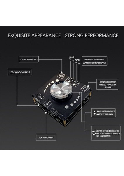 2x XY-AP100H 100W+100W Çift TPA3116D2 Bluetooth 5 0 Stereo Ses Dijital Güç Amplifikatör Kart Ampifikador Aux (Yurt Dışından) fiyatları