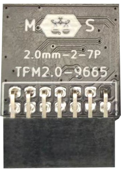 Lpc Tpm 2 0 Şifreleme Güvenlik Modülü Uzak Kart 14PIN Tpm2 0 Msı Windows 11 Için Modül Kartı (Yurt Dışından)