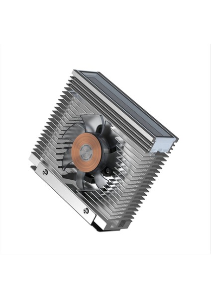 Argb M 2 2280 SSD 50MM Pwm Çift Fan M 2 SSD Radyatör Soğutucu Sabit Disk Isı Batağı M2 Masaüstü Pc B (Yurt Dışından) fırsatları