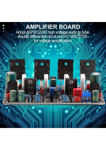 Mono Power Amplifikatör Kartı 1943+5200 High Power 200W Boru Amp Kararı (Yurt Dışından) fırsatları