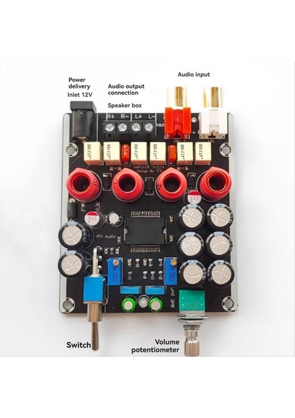 TA2024 Için Dijital Koyma Amplifikatör Kartı Tahrikli Çift Kanallı 15WX2 Stereo Onbaşı Tam Frekanslı Oyuncu (Yurt Dışından) modelleri