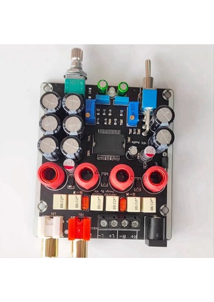 TA2024 Için Dijital Koyma Amplifikatör Kartı Tahrikli Çift Kanallı 15WX2 Stereo Onbaşı Tam Frekanslı Oyuncu (Yurt Dışından) fırsatları