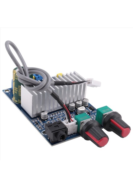 TPA3116 Subwoofer Amplifikatör Kartı 100W Bas Çıkışı DC12-24V Dijital Küçük Güç Amplifikatörleri Video Ses Aksesuarları (Yurt Dışından)