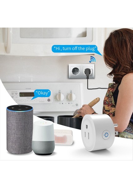 Alexa Google Us Flug Için Güç Izleme ve Zamanlama Fonksiyonu Zigbee Akıllı Ses Kontrolü 16A (Yurt Dışından) fiyatları