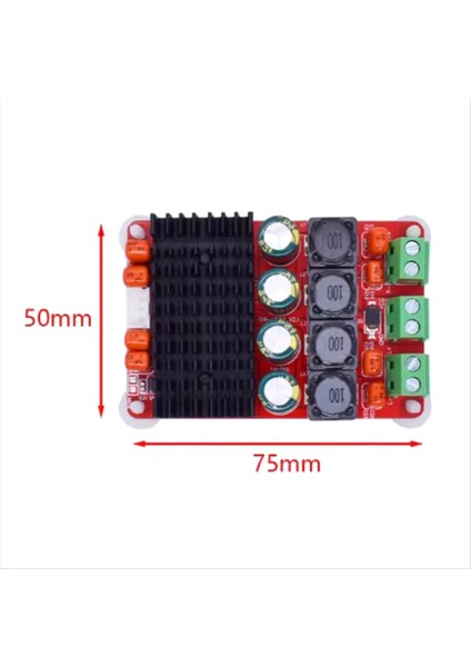 TPA3116 Dijital Plaka Plakası 50WX2 Dijital Amplifikatör Kart Pbtl 100W Mono Yüksek Güçlü Amplifikatör Modülü (Yurt Dışından) modelleri