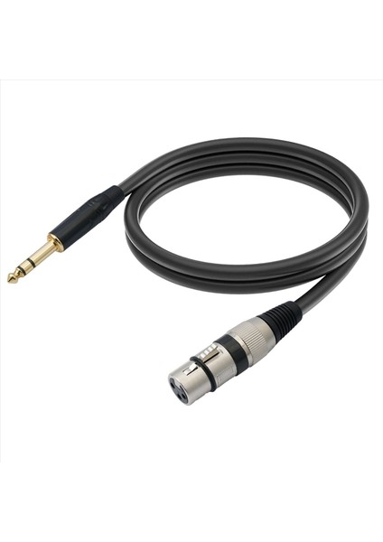 Trs 1/4 Inç - Xlr 3pin Kablo Dengeli Xlr - Jack 6 35MM Trs Sinyal Bağlantı Kablosu Mikrofon Ses Kablosu 5m (Yurt Dışından)