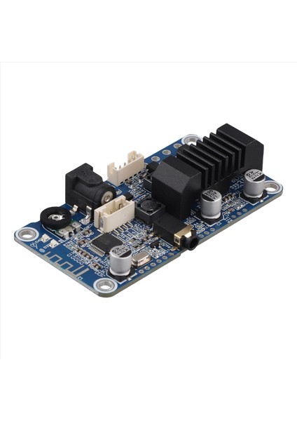 TPA3116 Bluetooth 5 0 Stereo Güç Amplifikatörü Stereo 2X50W 3 5mm Giriş Dsp Tuning Tuning DC12V-24V Dayanıklı (Yurt Dışından)