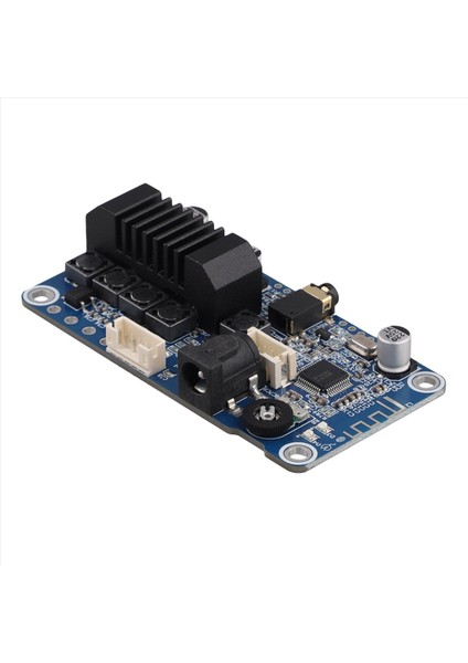 TPA3116 Bluetooth 5 0 Stereo Güç Amplifikatörü Stereo 2X50W 3 5mm Giriş Dsp Tuning Tuning DC12V-24V Dayanıklı (Yurt Dışından) fiyatları