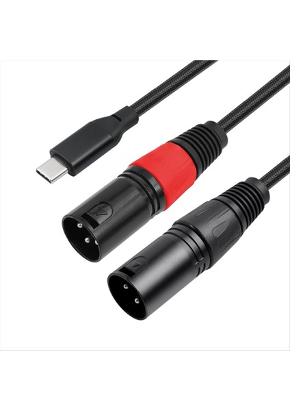 Hoparlör Amplifikatör Mikseri Için Hoparlörler Için Çift Xlr Erkek Çıkışına Bochara Tip C Girişi (Yurt Dışından) modelleri