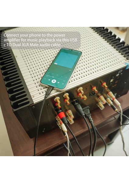 Hoparlör Amplifikatör Mikseri Için Hoparlörler Için Çift Xlr Erkek Çıkışına Bochara Tip C Girişi (Yurt Dışından) indirimleri