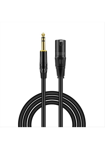 2 Paket 6 35 mm 1/4 Inç Erkek - Xlr Erkek Ses Stereo Mikrofon Kablosu - Erkek Ila Xlr Erkek Dengeli Hoparlör Mikrofon Kablosu 1 Metre (Yurt Dışından) indirimleri
