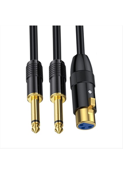 Xlr Dişi Ila Çift 1/4 Inç Y Ayırıcı Kablosu Dişi Xlr Ila Ikiye 6 35MM Mono Ts Fiş Mikrofon Ses Dönüştürücü Adaptör Kordon-A (Yurt Dışından) indirimleri