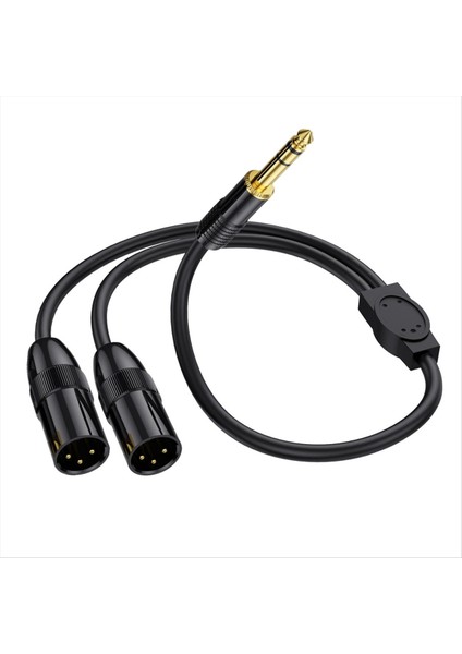 6 35MM Trs Erkek Fişine 2 Çift Xlr Erkek Mikrofon Stereo Dengesiz Ses Dönüştürücü Adaptörü Y Splitte Kablo Kablosu-C (Yurt Dışından)