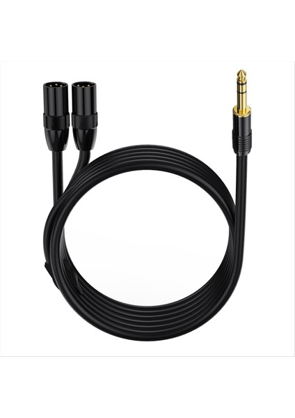 6 35MM Trs Erkek Fişine 2 Çift Xlr Erkek Mikrofon Stereo Dengesiz Ses Dönüştürücü Adaptörü Y Splitte Kablo Kablosu-C (Yurt Dışından) fırsatları