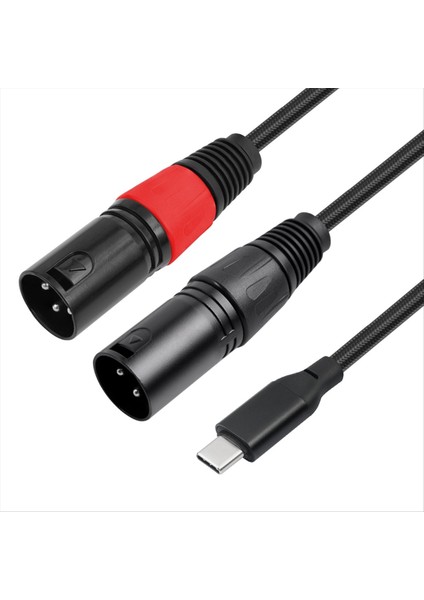 Hoparlör Amplifikatör Mikseri 200CM Için Çift Xlr Erkek Çıkışına Bochara Tip C Girişi (Yurt Dışından)