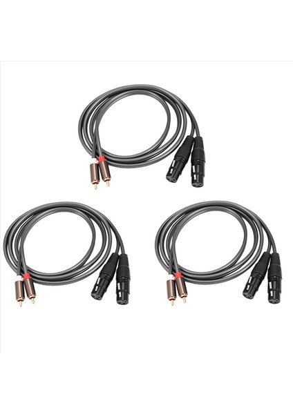 3x Çift Dişi Xlr - Rca Kablosu Ağır Hizmet Tipi 2 Xlr Dişi Ila 2 Rca Erkek Yama Kablosu Hif Stereo Ses Bağlantı Kablosu (Yurt Dışından)