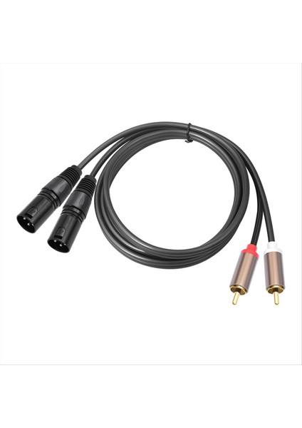 2rca Ila 2xlr 3 Çekirdekli Xlr Kablo Mikser Güç Amplifikatörü Aktif Hoparlör Mikrofon Ses Kablosu 1 5 Metre (Yurt Dışından)