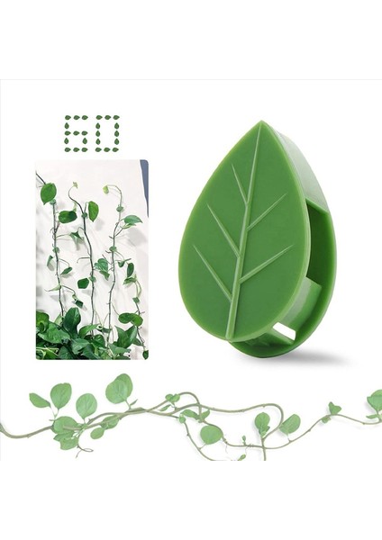 Tırmanma Bitkileri Için Bitki Klipsleri (120 Paketi) Bitki Tırmanma Duvarı Armatürü Destekleme Saplarını Dikiş Vines (Yurt Dışından) modelleri