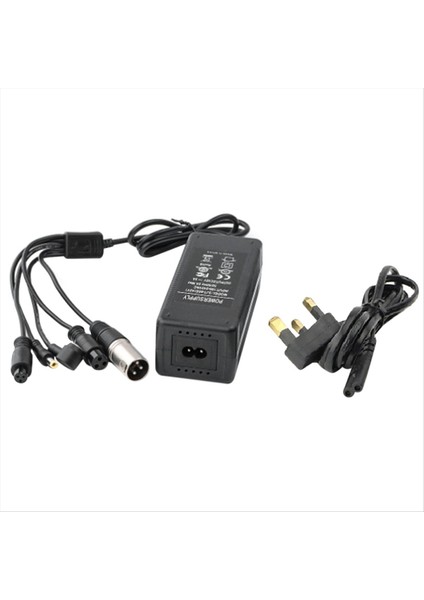 42V 2A E-Bisiklet Lityum Pil Şarj Cihazı AC100-240V 36V 10S M365 Elektrikli Bisiklet Li-Ion Hücre Hızlı Şarj (Ingiltere Fişi) (Yurt Dışından)