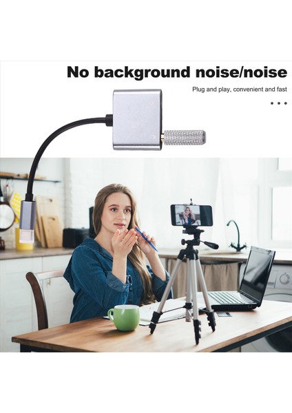 3,5mm Adaptör Tip-C Evrensel Insansız Canlı Yayın Odası Sessiz Koruyucu Gürültü Fişi ve Oynatma (Yurt Dışından) fırsatları