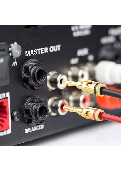 10 Çift Muz Tıkaçları - Hoparlör Tel Ev Sineması Duvar Tabakları ve Daha Fazlası Için Açık Vidalı Tip (Yurt Dışından) modelleri